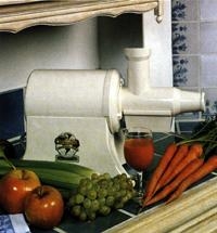 Champion Juicer