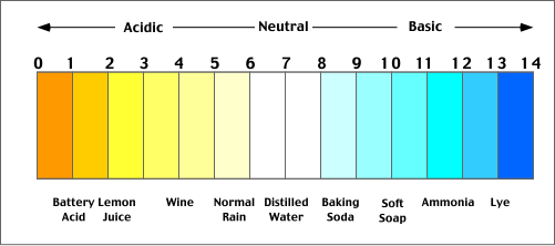 scale.gif